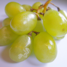 A Sour Grape