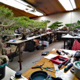 Bonsai Tree Workshop